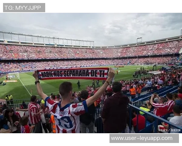 伯恩利英超遭遇七连败深陷降级区距离安全区差距扩大至五分